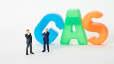 financial leadership and risk