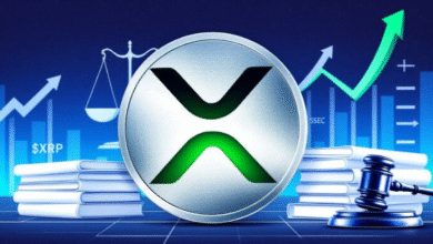 XRP Price in 2025: What Are the Expectations?