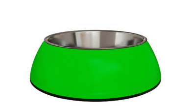 What to Look for in a Safe and Durable Dog Bowl