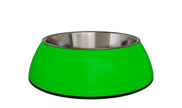 What to Look for in a Safe and Durable Dog Bowl